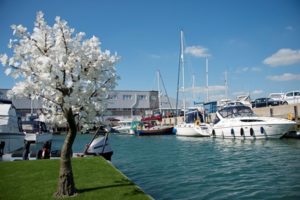 Read more about the article Portsmouth marina