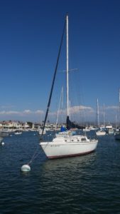 Read more about the article Marinas for sale in usa